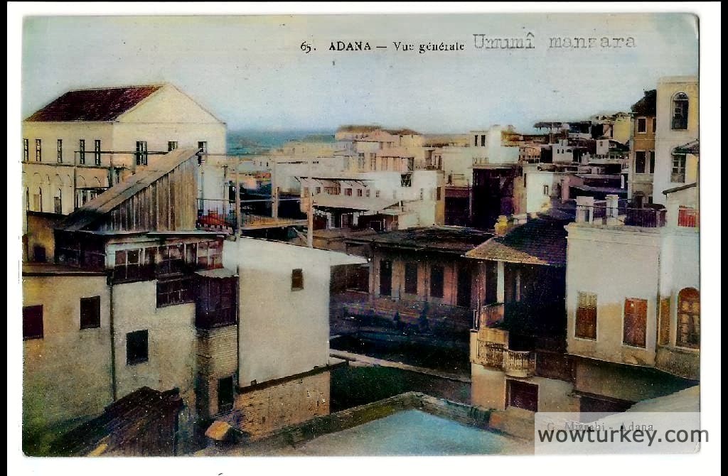 1000294535-colorized