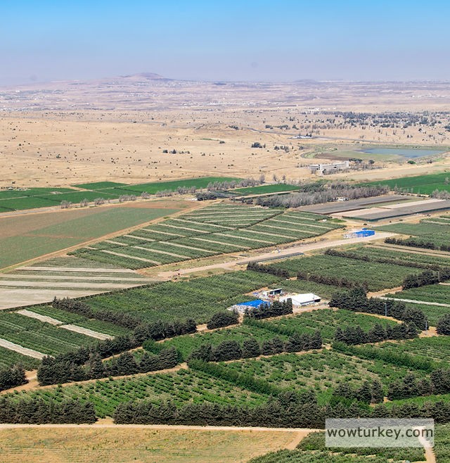 11062b_38841b9f50f14be8b77010aa5ee812dc~mv2