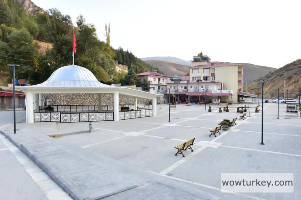 123382462-392020785313591-3246009772731036617-n