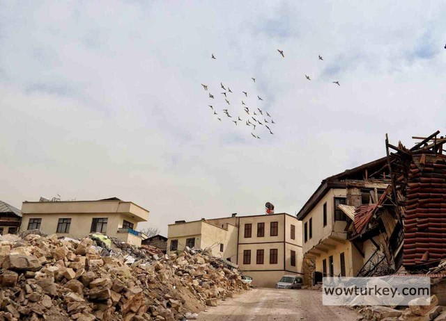 130199563-1678023696