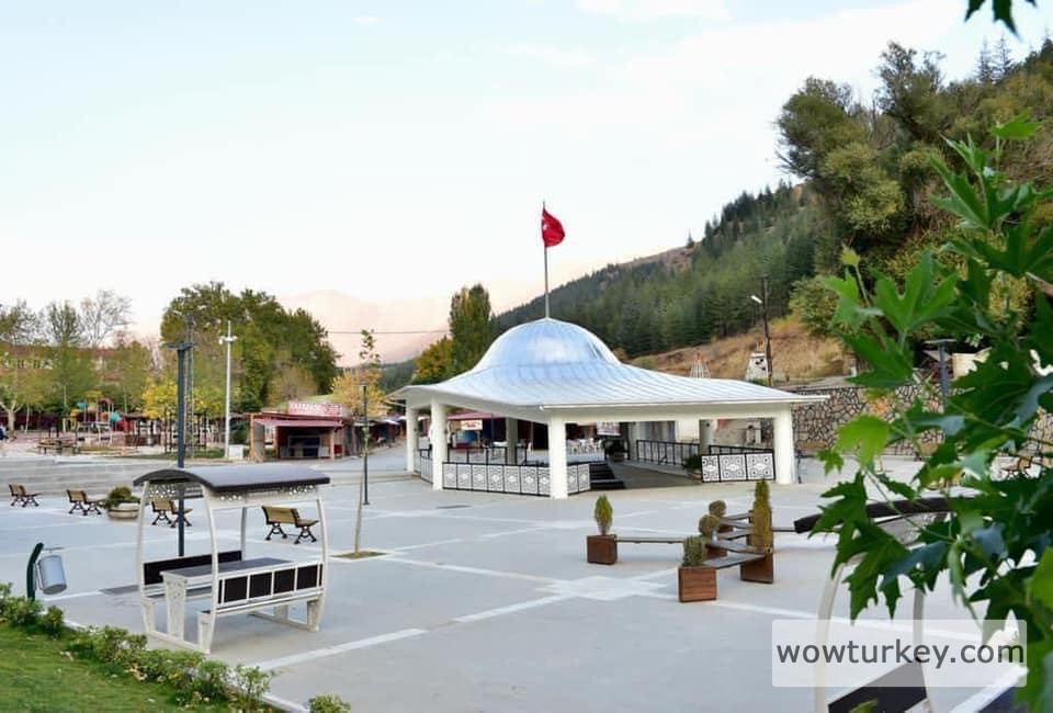 131013458-422696128912723-5864762269438360820-n