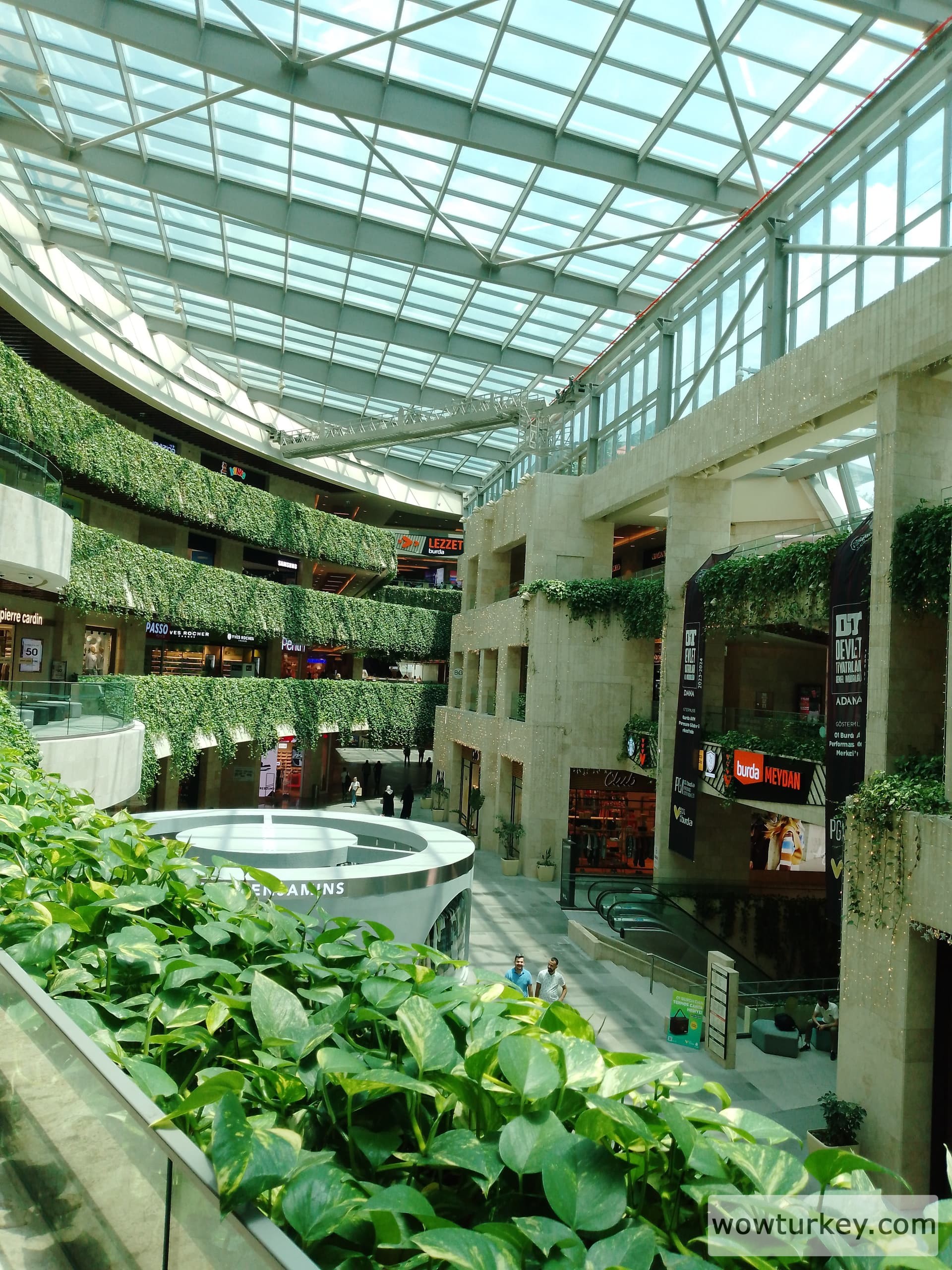 1717061905845352537062867733393