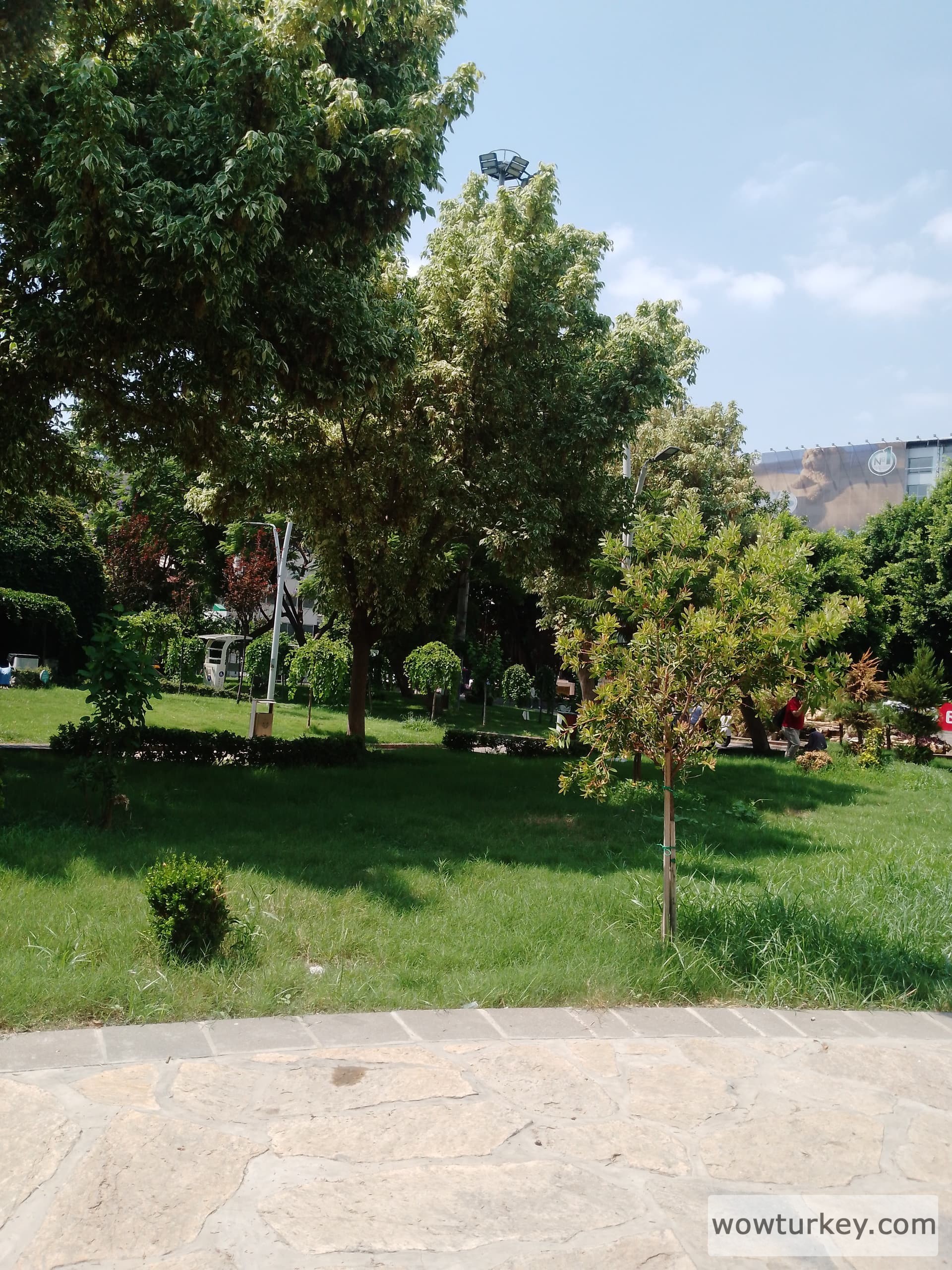 17231924124563530392296631920737