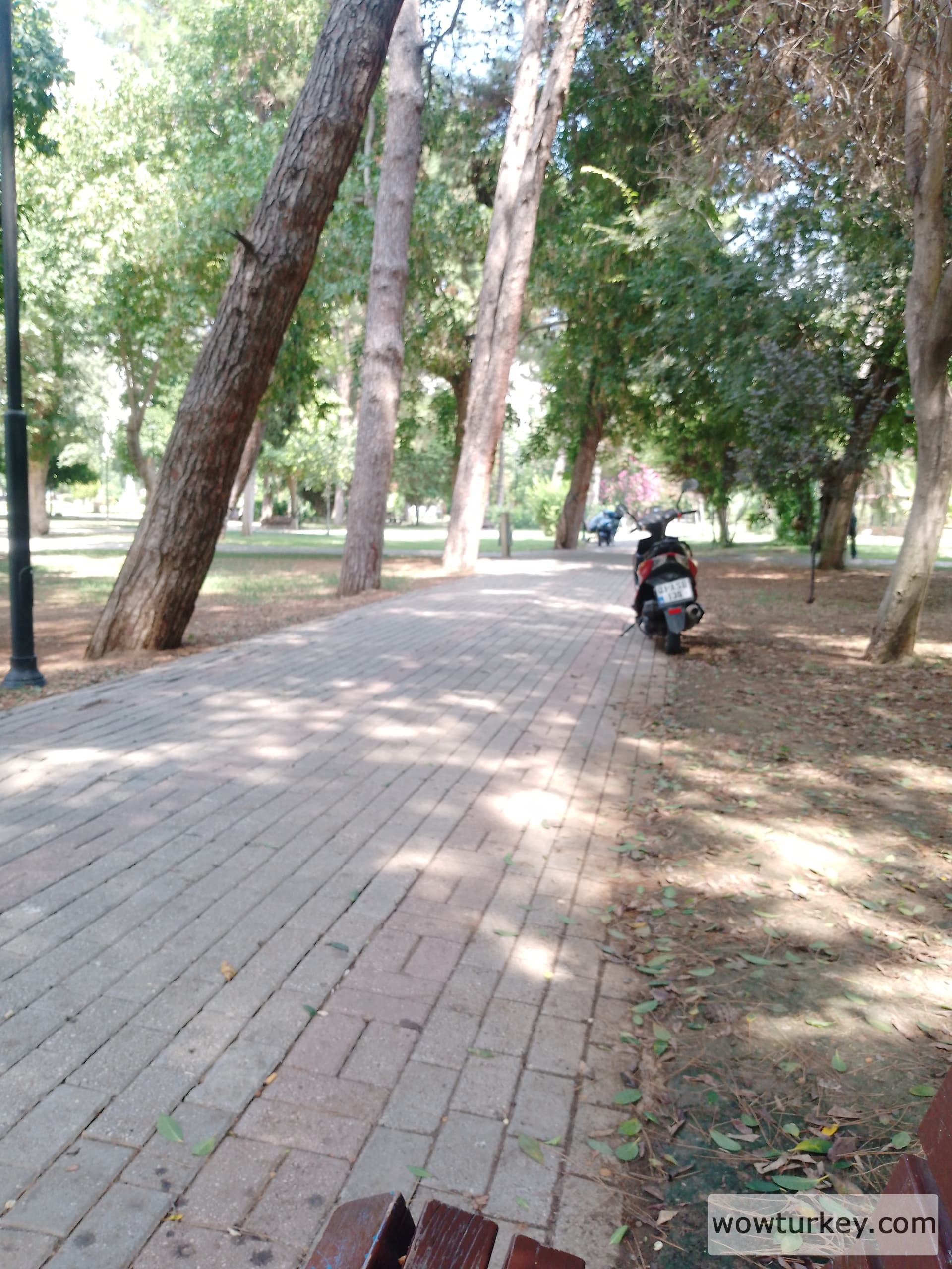 17232010513351503480406245110935