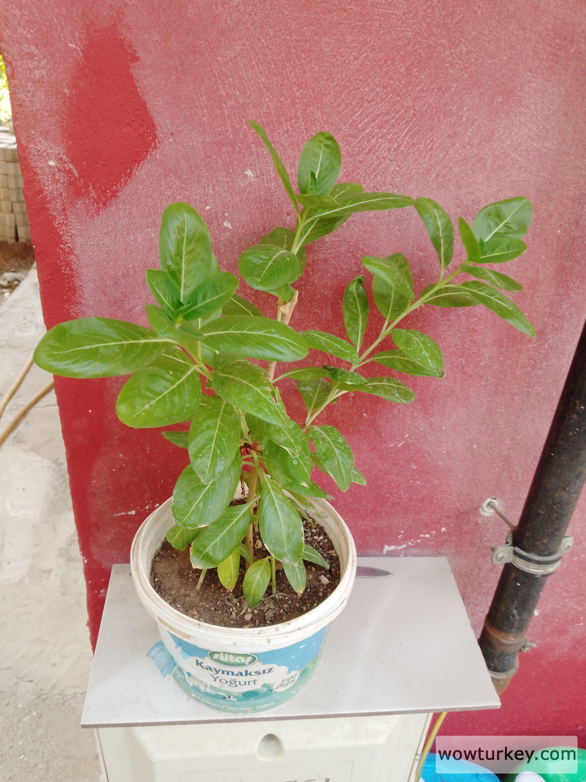 17242404472302340514863043410422