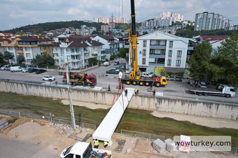 1725521746-062794715e1131a79839