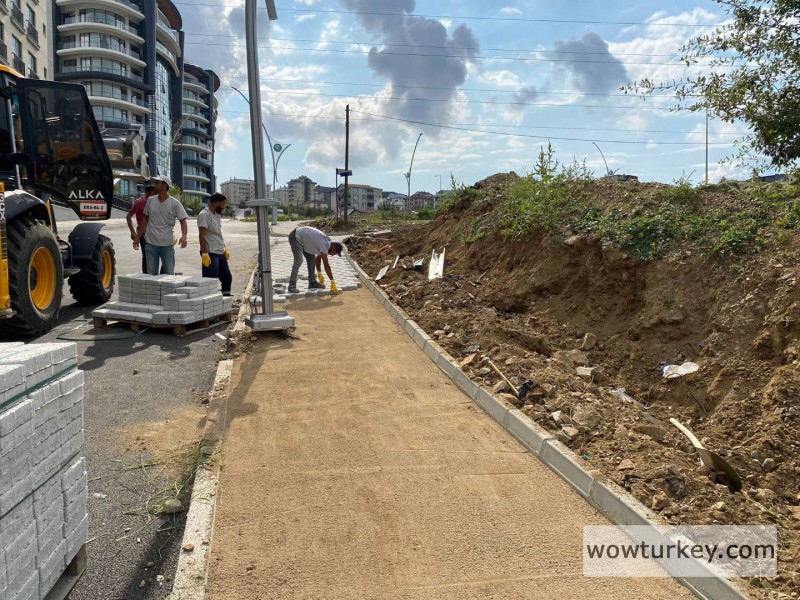 1726643948-be6ae8d0e412ecfbb856