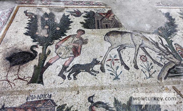 20161214145849856-K-MARAS-GERMENICIA-SERVET-UYGUN-4