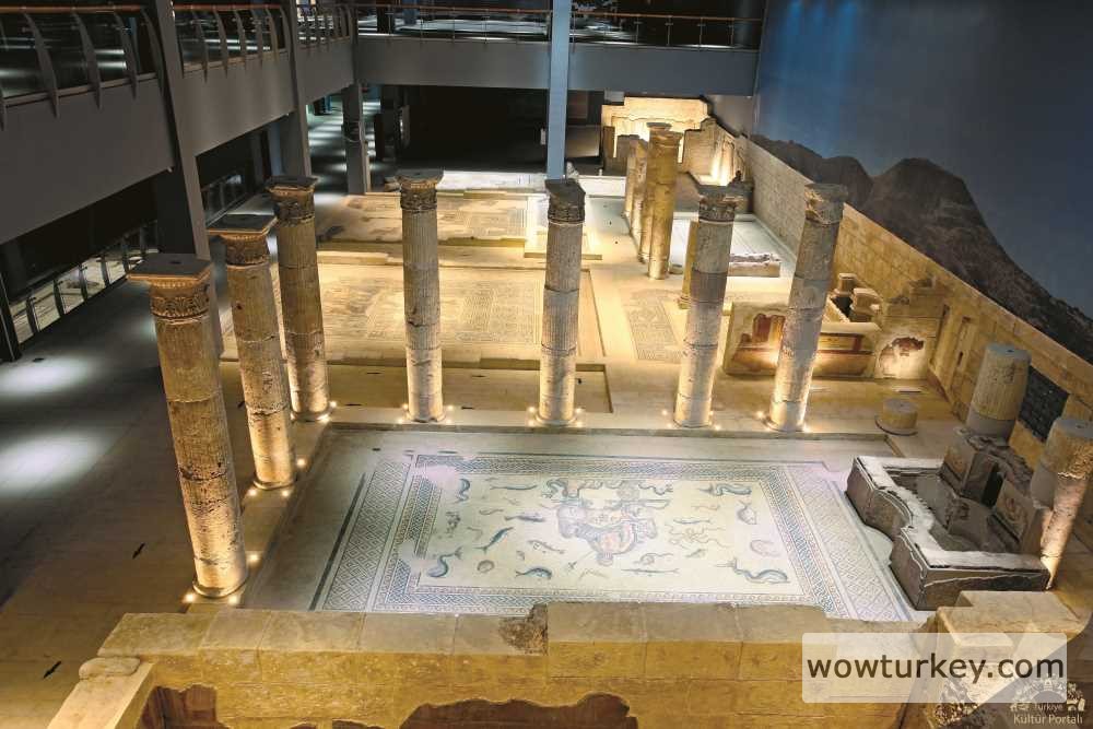 20171004160232697_muze_0015