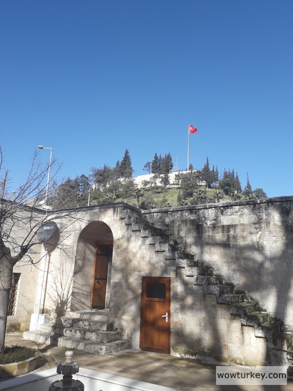 20190129_120355-e1554156415129