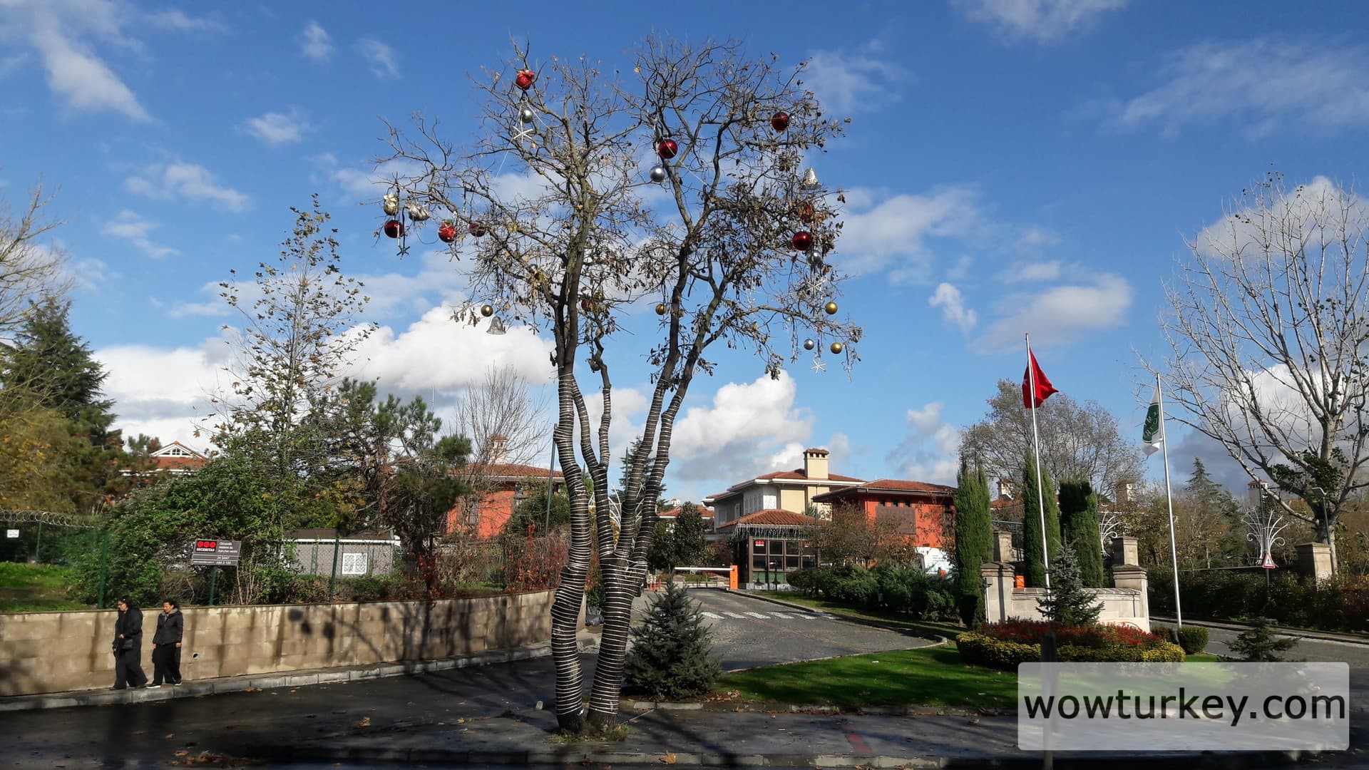 20191129_140132_Richtone(HDR)