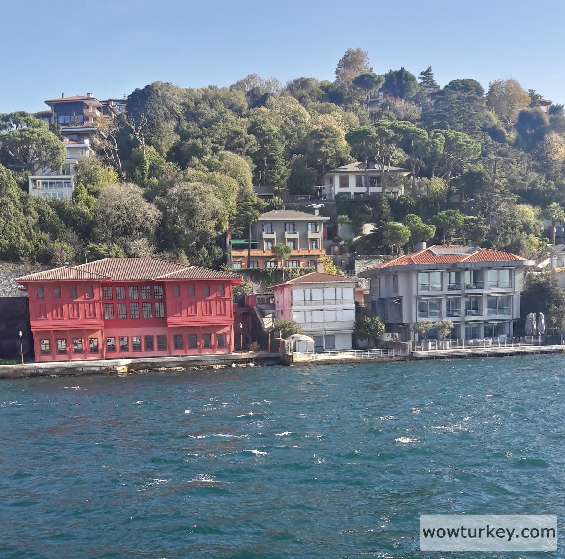 20191130_115137_Richtone(HDR)