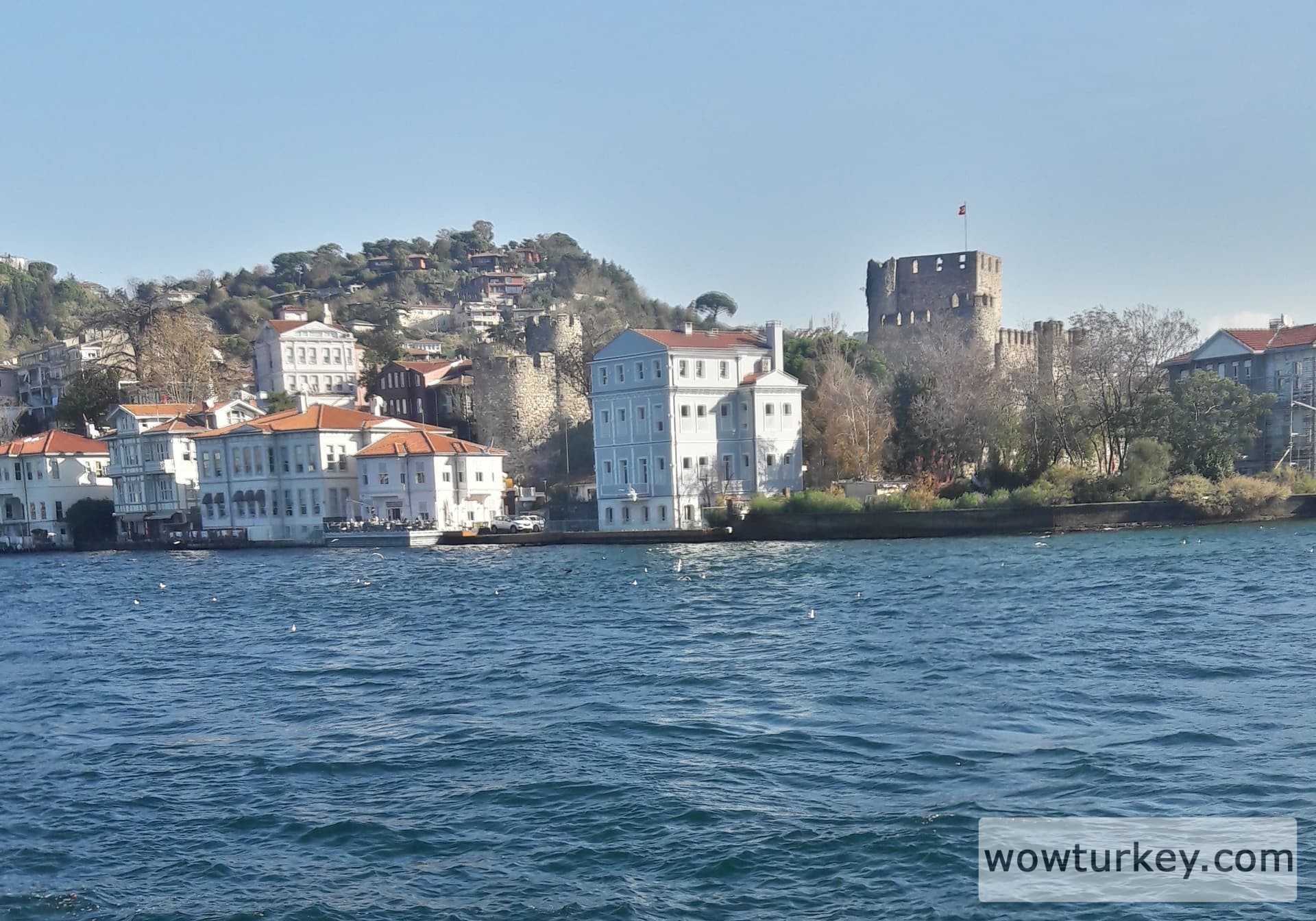 20191130_115309_Richtone(HDR)