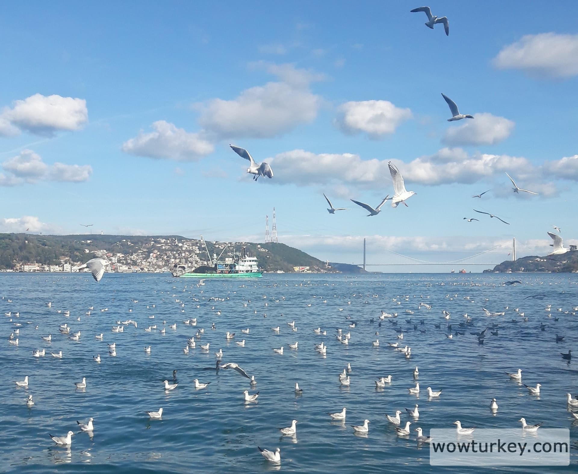 20191202_125550_Richtone(HDR)