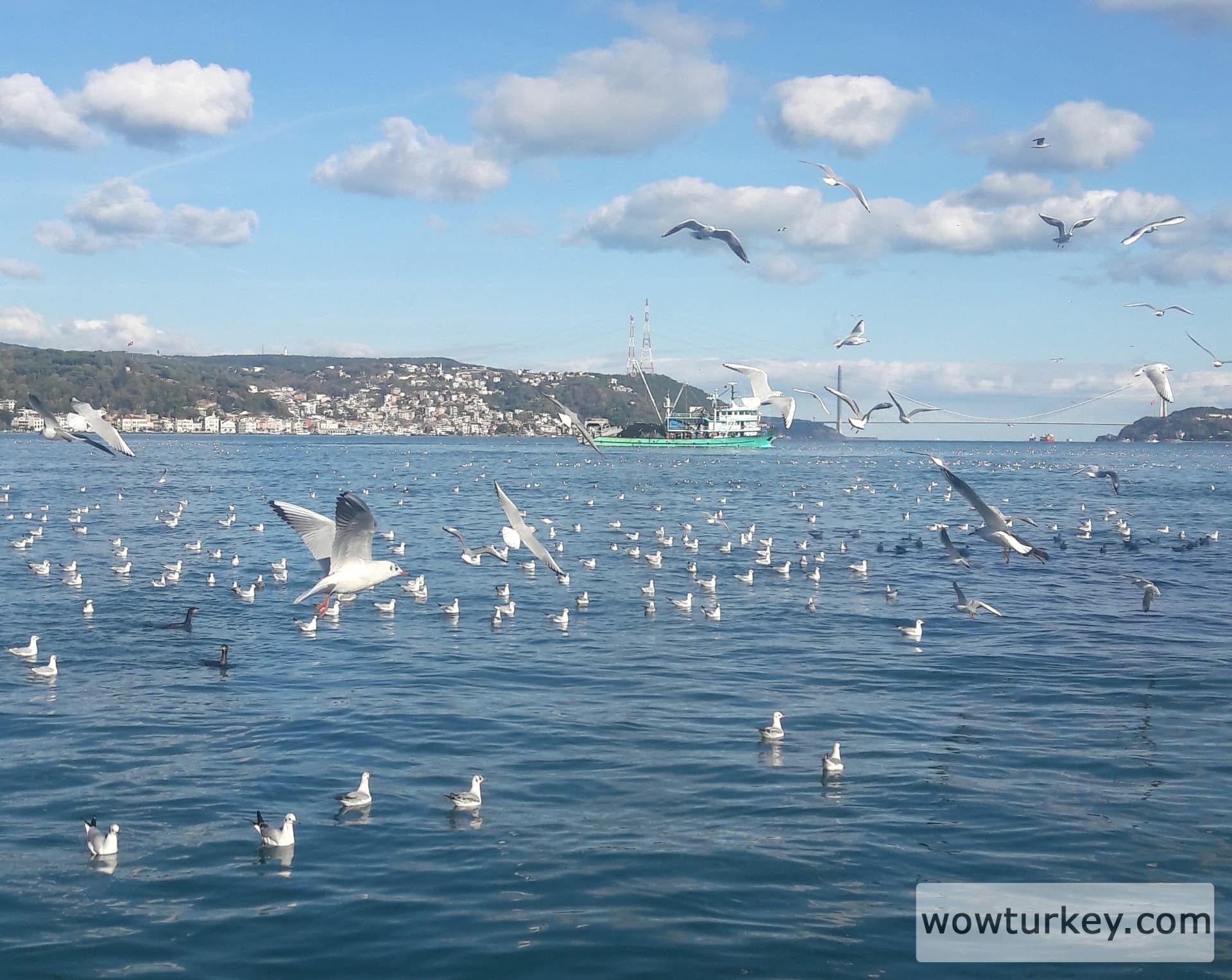 20191202_125610_Richtone(HDR)