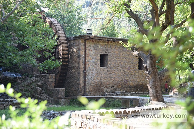 2021-MAYIS-16-munzur-20210516-2-48305273-65206835