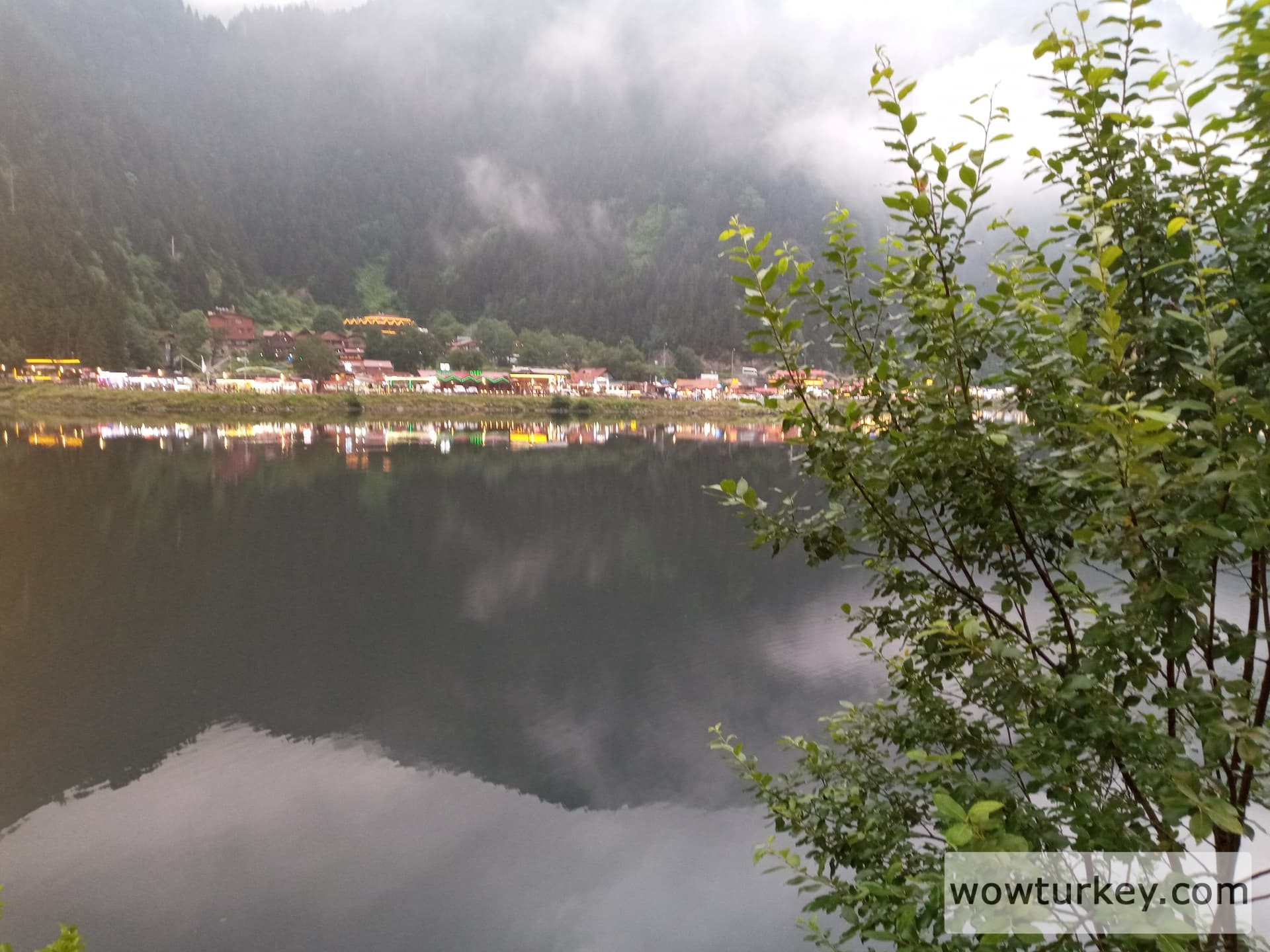 20210710_193227_mfnr