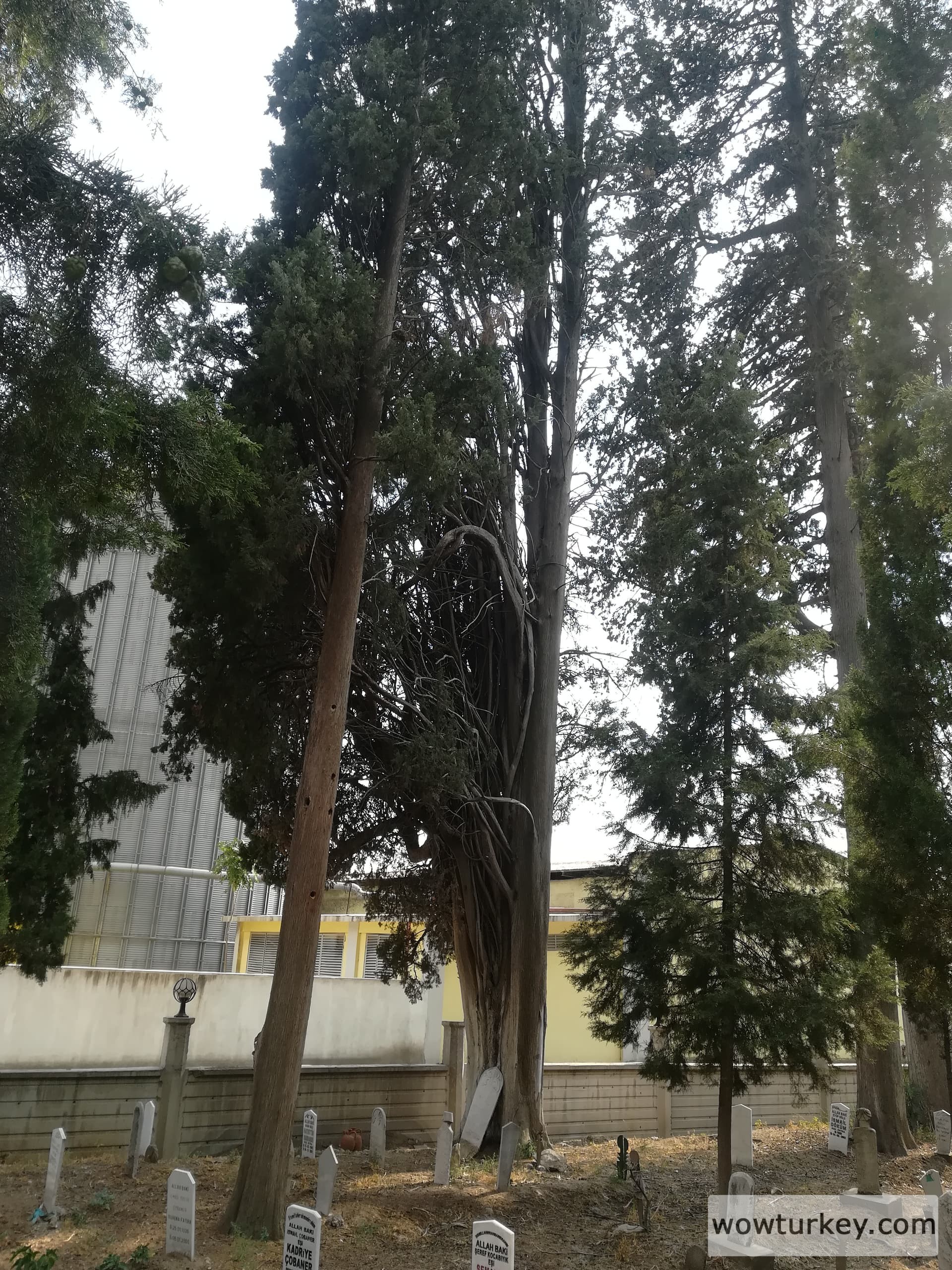 2022 08 23 havran mezarlığı 1