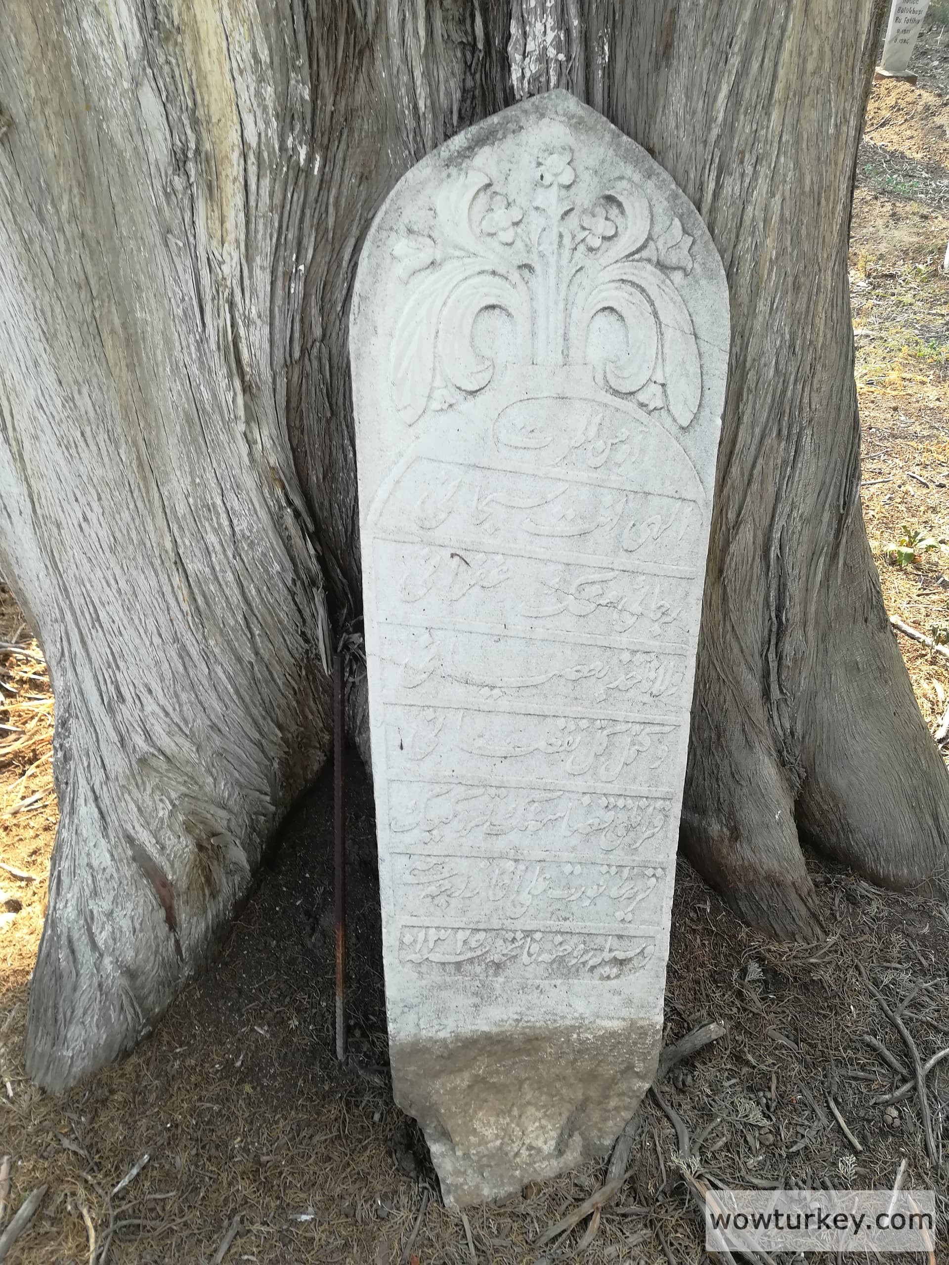 2022 08 23 havran mezarlığı 2