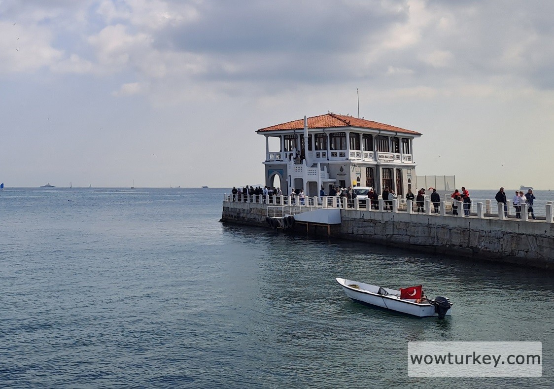 20230520_161144 (1).jpg