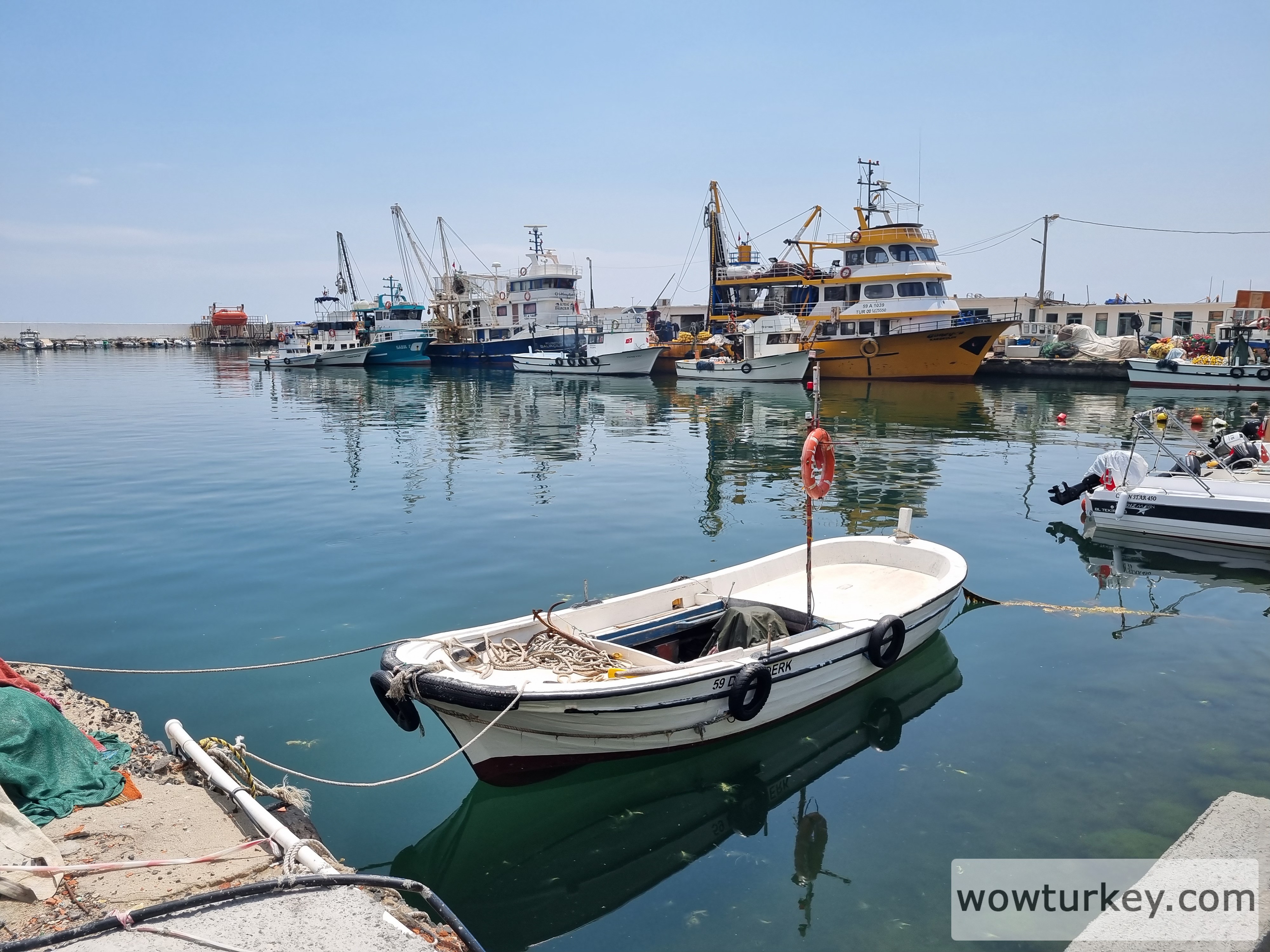 20230527_122830_081246