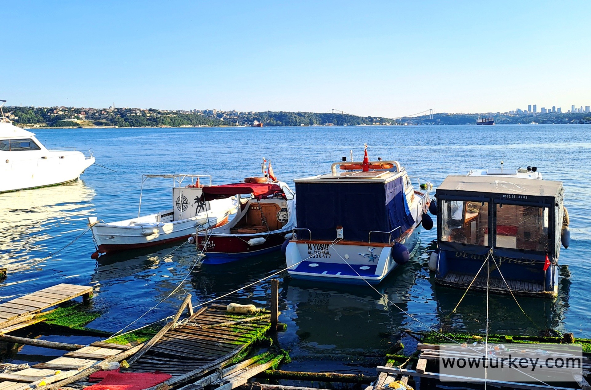 20230628_185323 (1).jpg