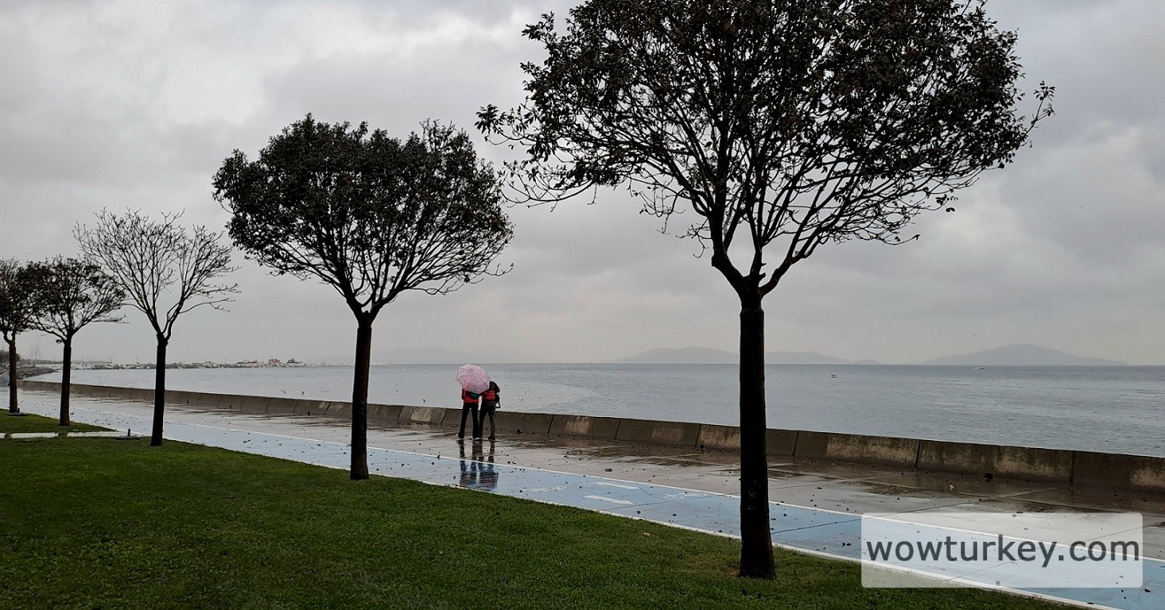 20231118_170444 (1).jpg