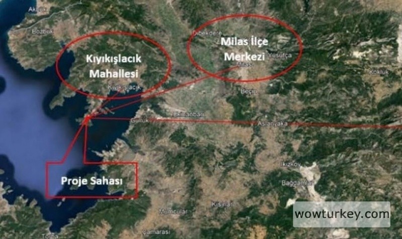 2024-09-191_mugggggggggg