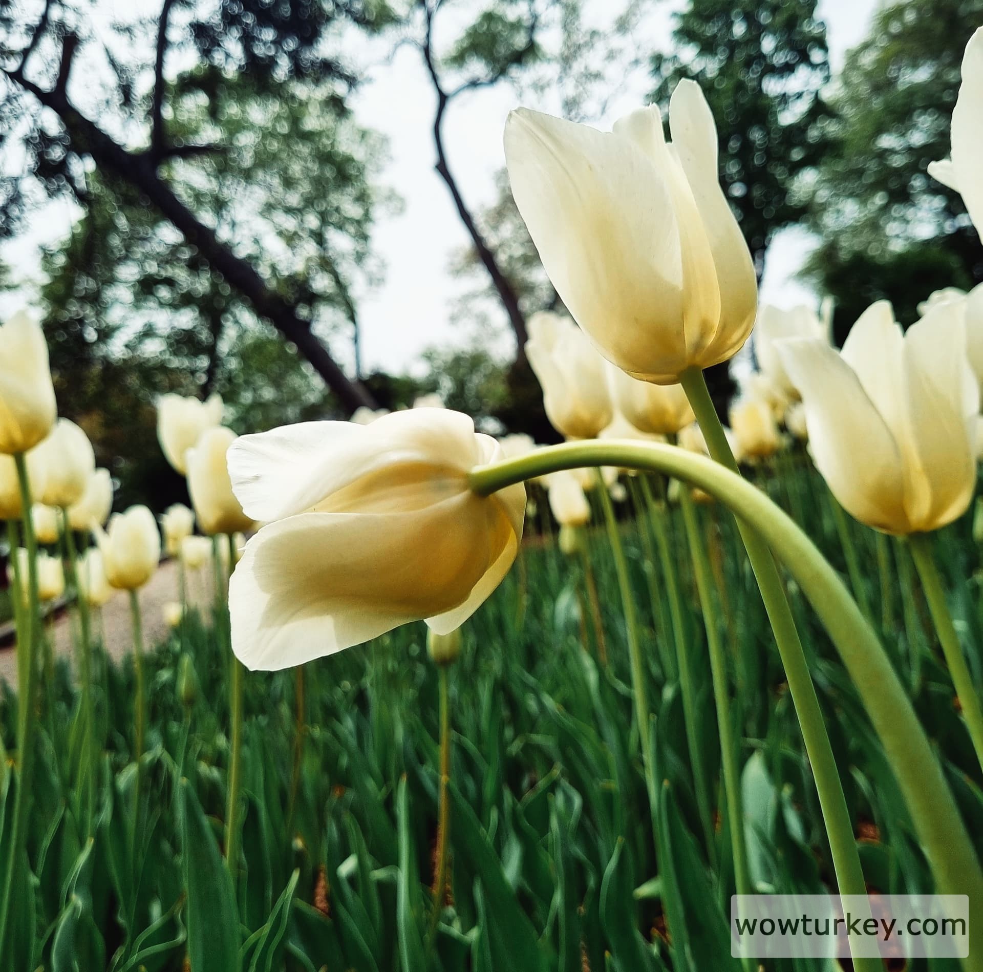 20240423_130611_1713983728893-02