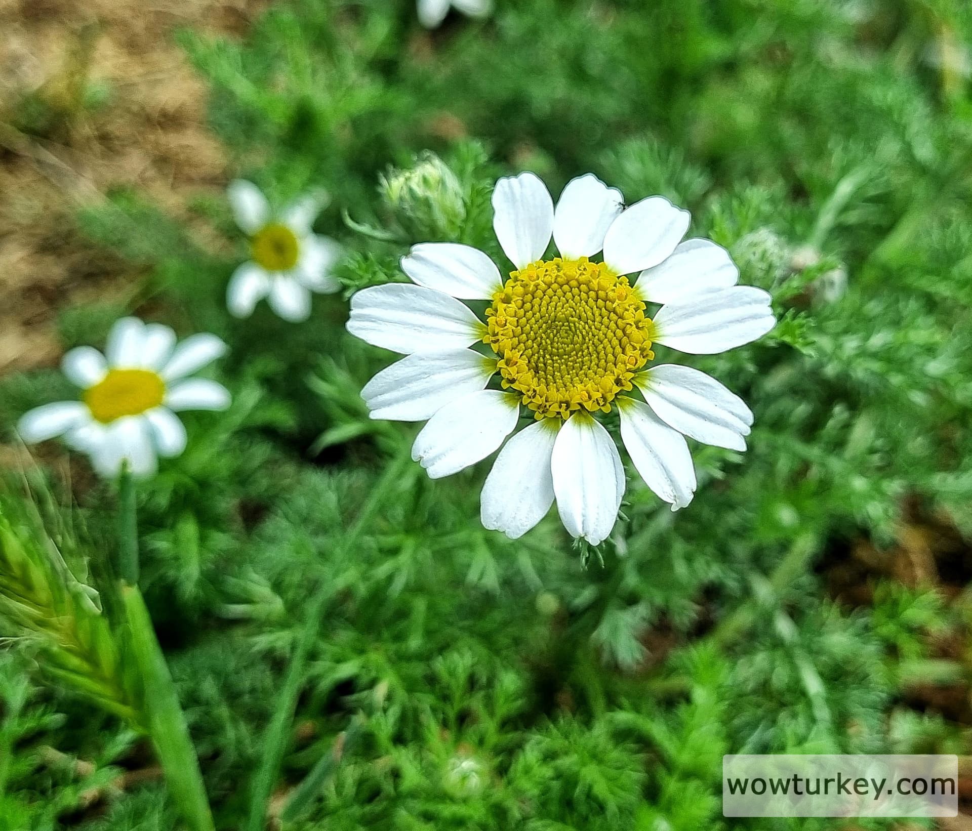 20240429_122423_1714382811627-01