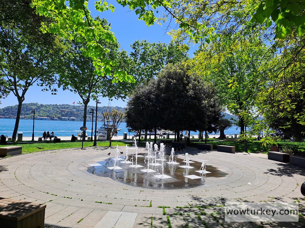 20240506_114347 (1).jpg