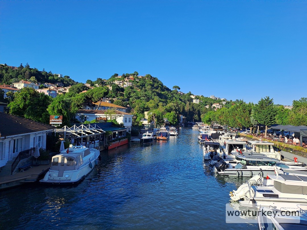 20240617_185229 (1).jpg