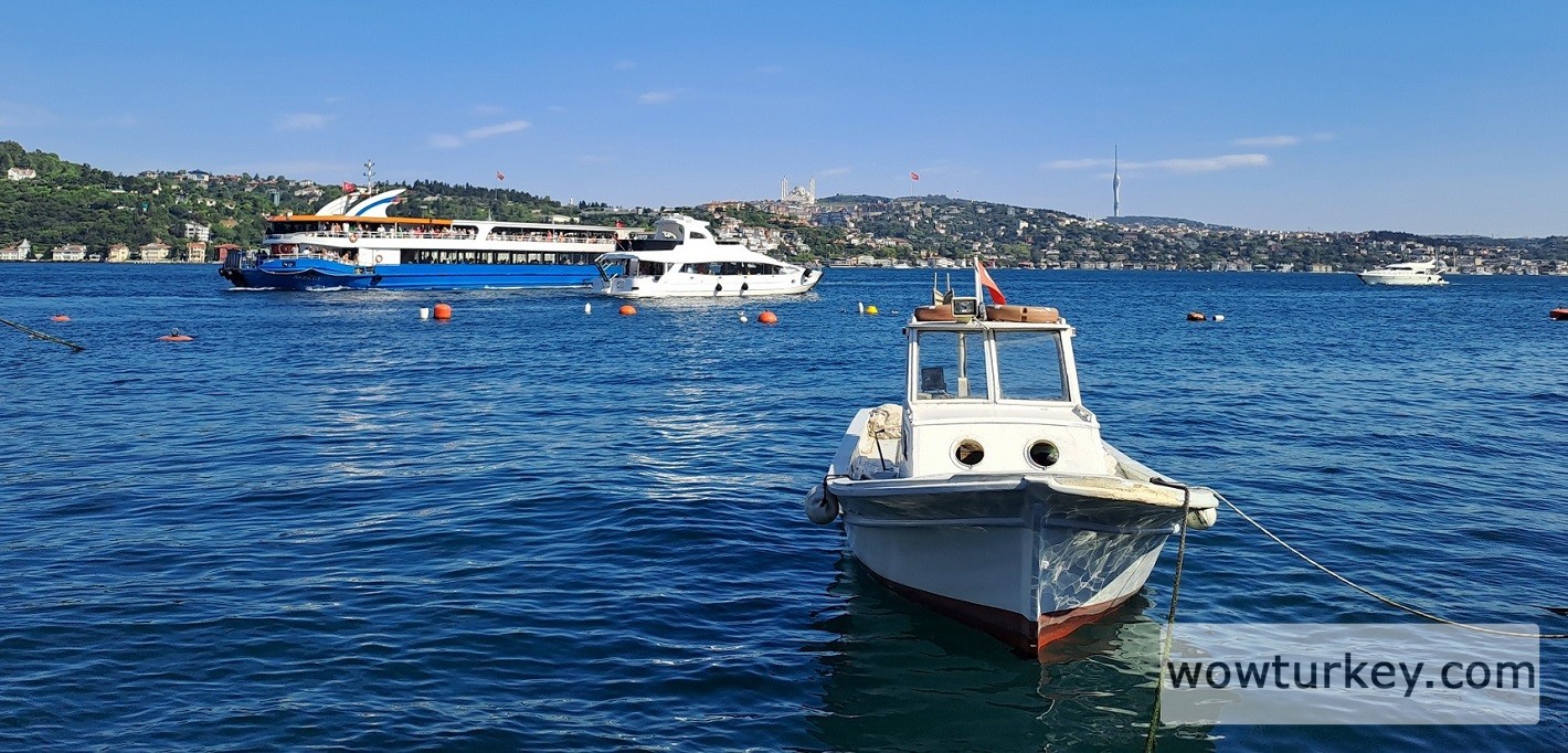 20240715_165102 (1).jpg