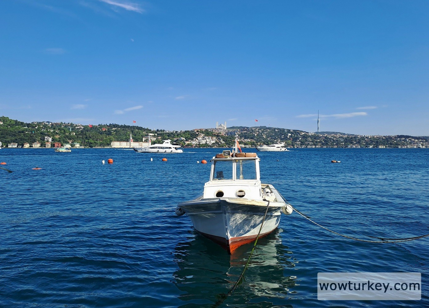 20240715_165133 (1).jpg