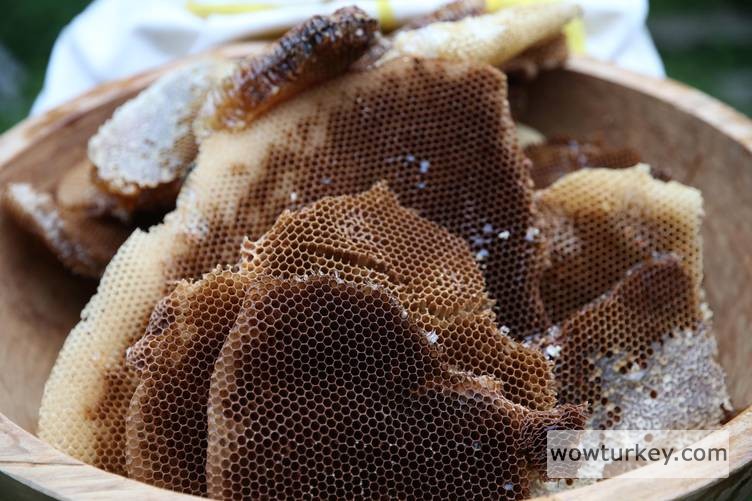 20240918_2_65565766_104843681