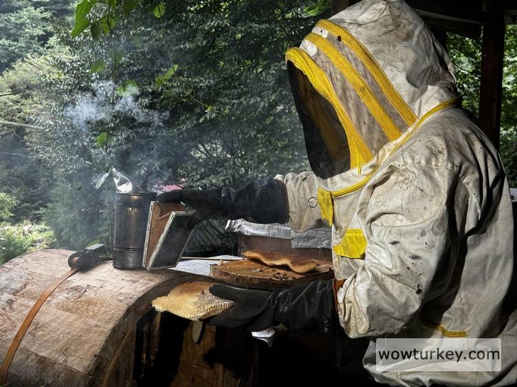 20240918_2_65565766_104843682