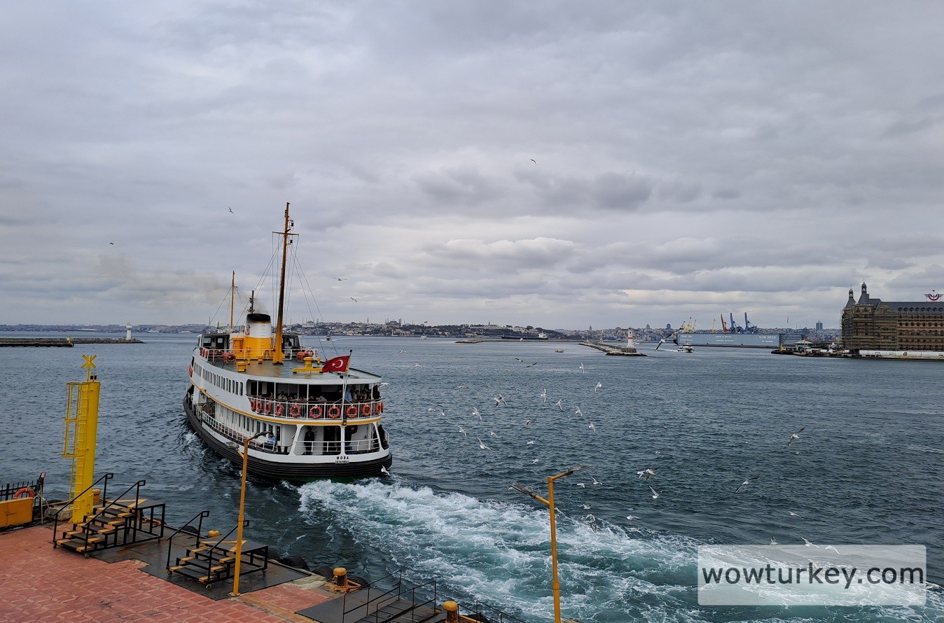 20241116_124652 (1).jpg