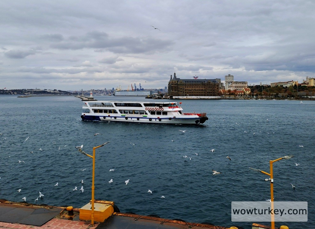 20241116_125310 (1).jpg