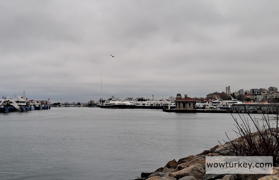 20250111_163648 (1).jpg