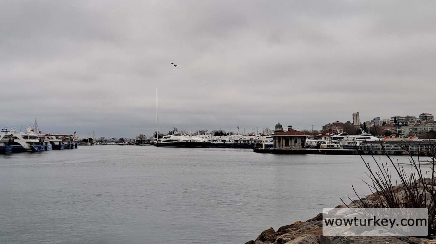 20250111_163648 (2).jpg