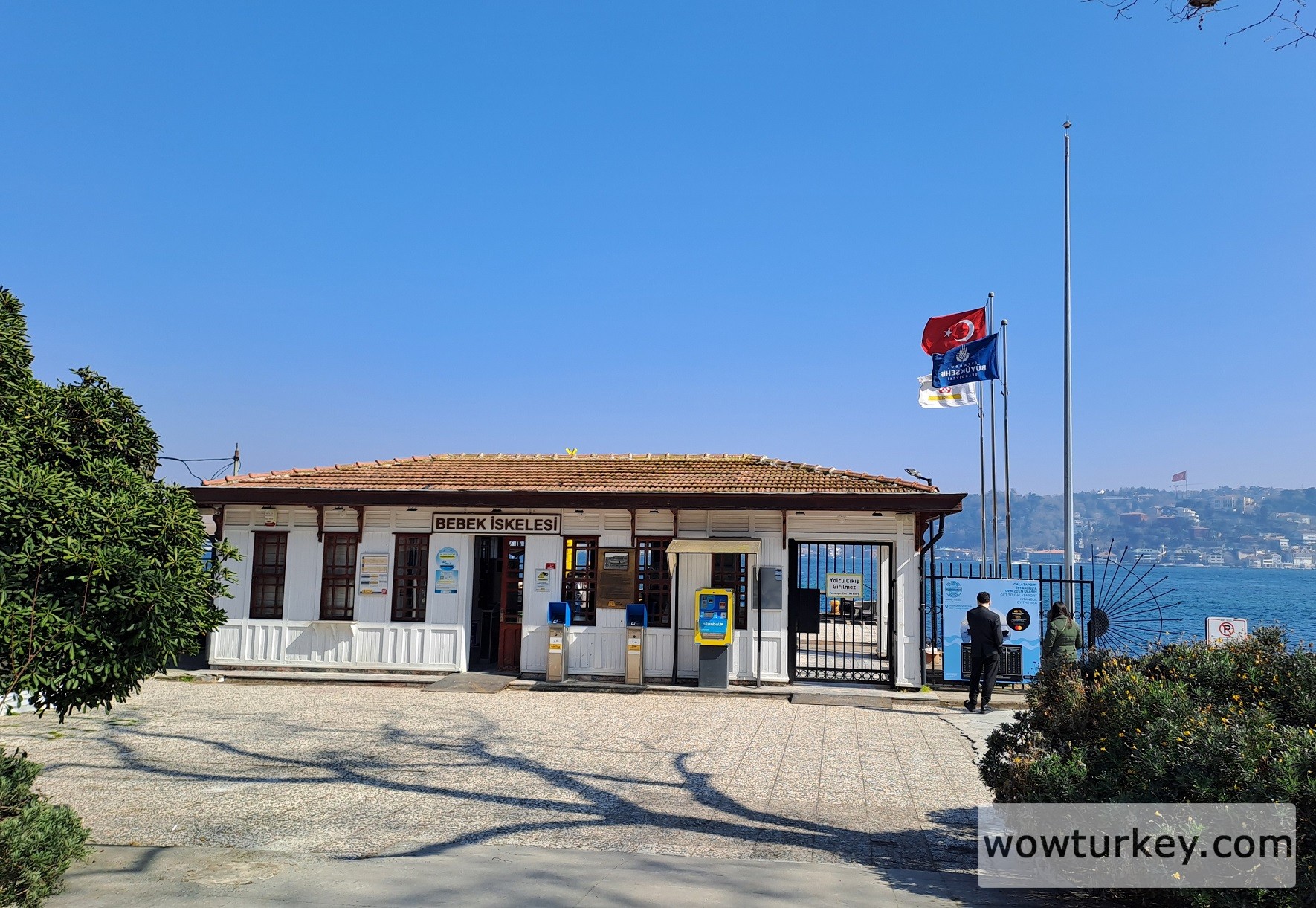 20250310_140823 (1).jpg