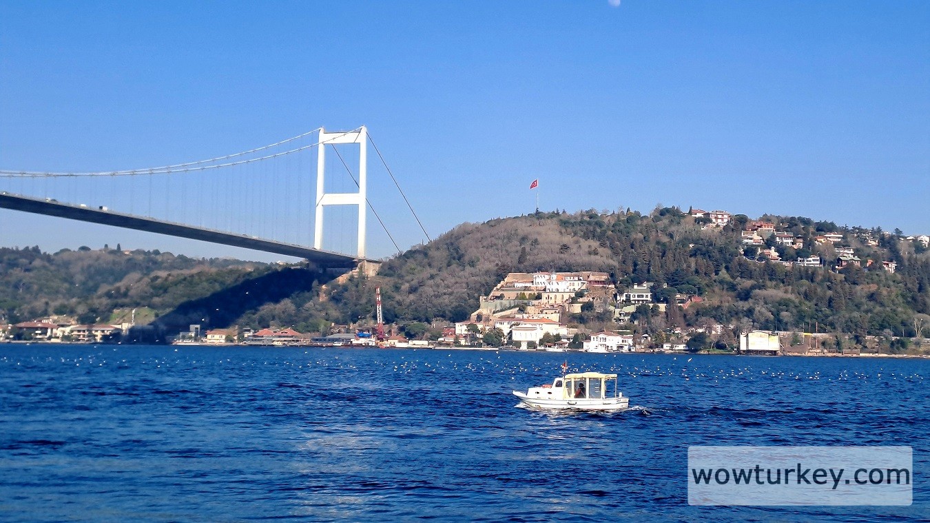 20250310_163929 (1).jpg