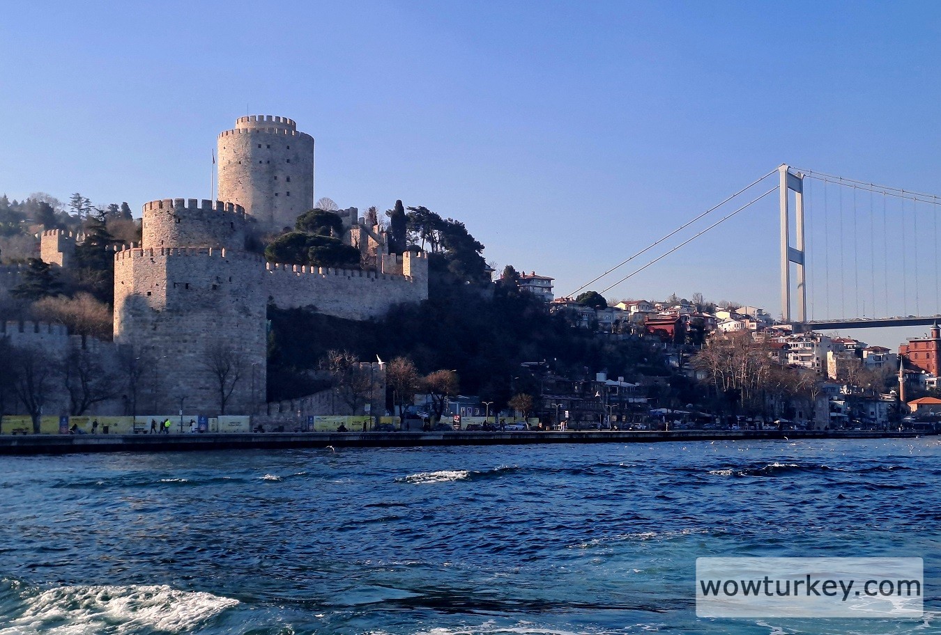 20250310_165849 (1).jpg