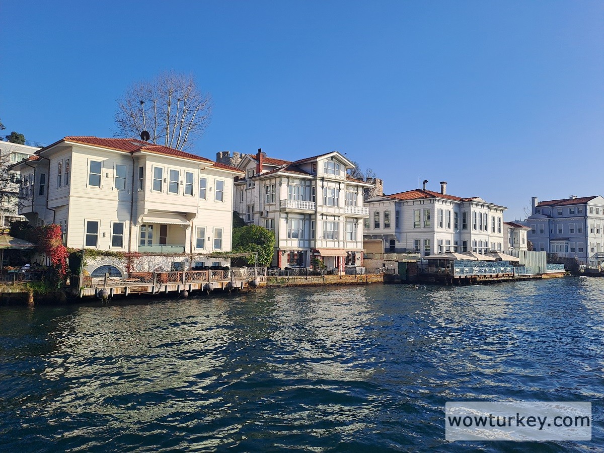 20250310_170303 (3).jpg