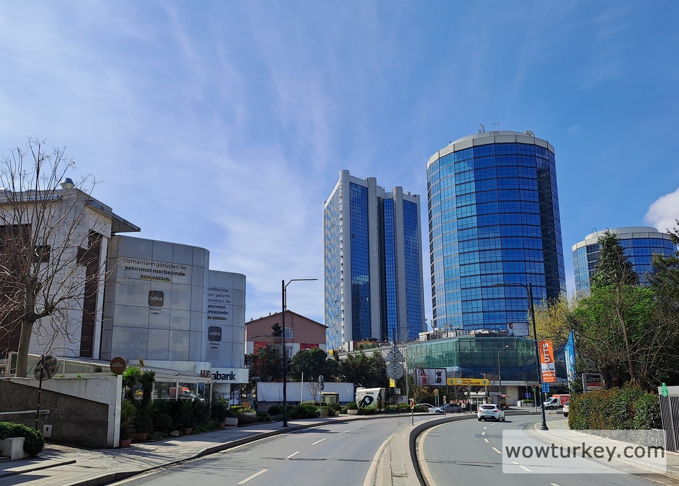 20250331_121444 (2).jpg