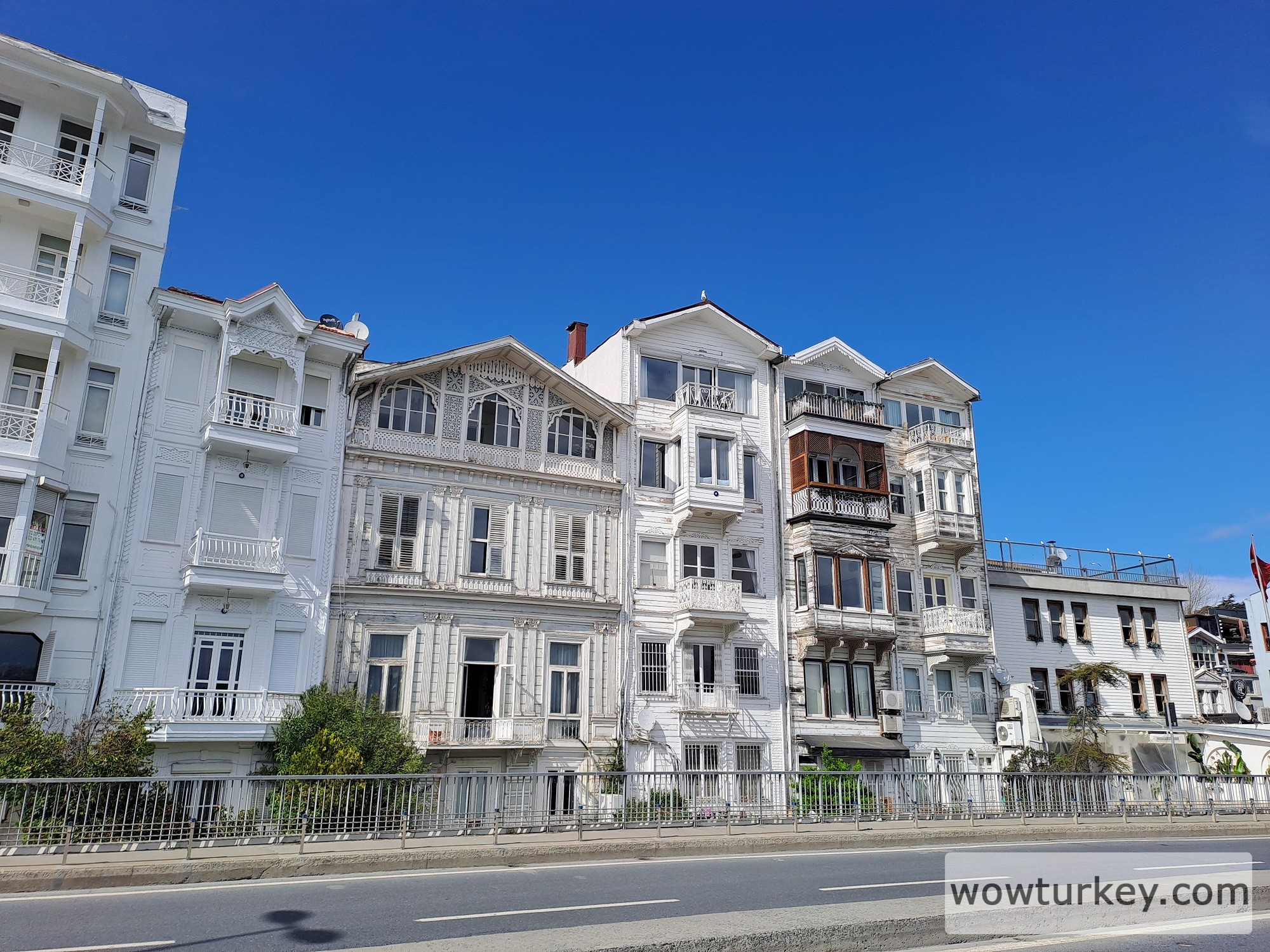 20250331_150744 (1).jpg