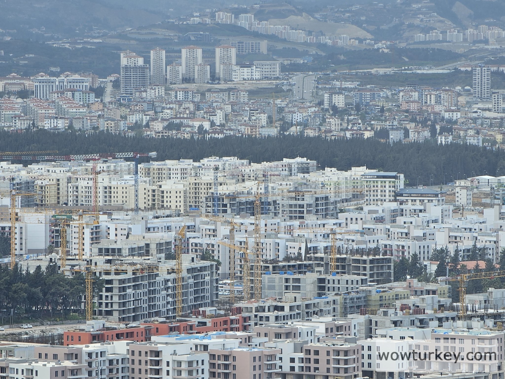 20250405_222526 (1).jpg