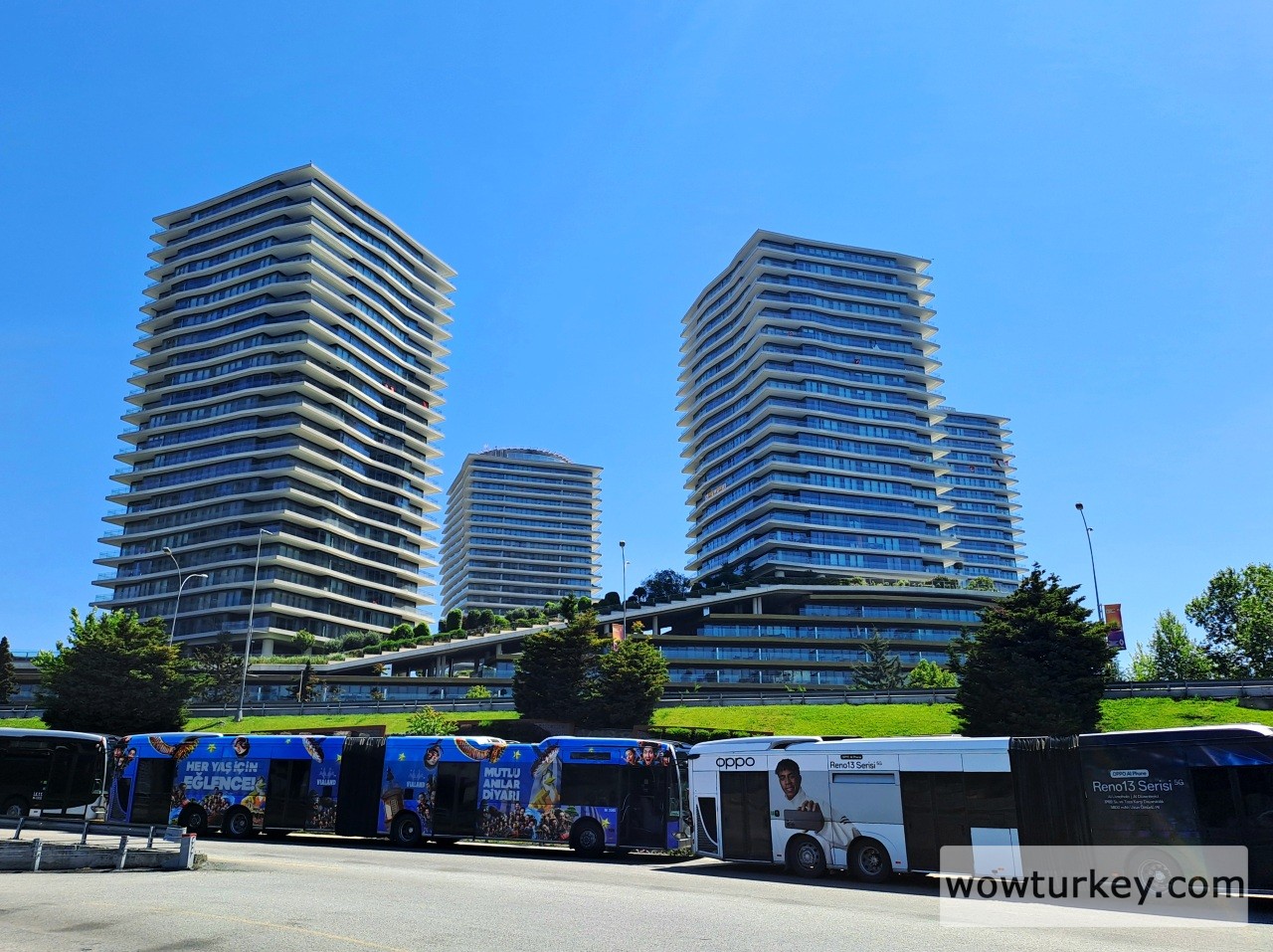 20250519_120104 (1).jpg