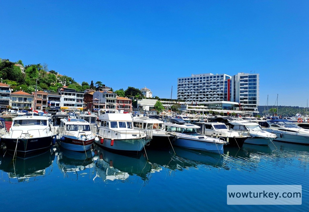 20250519_124125 (1).jpg