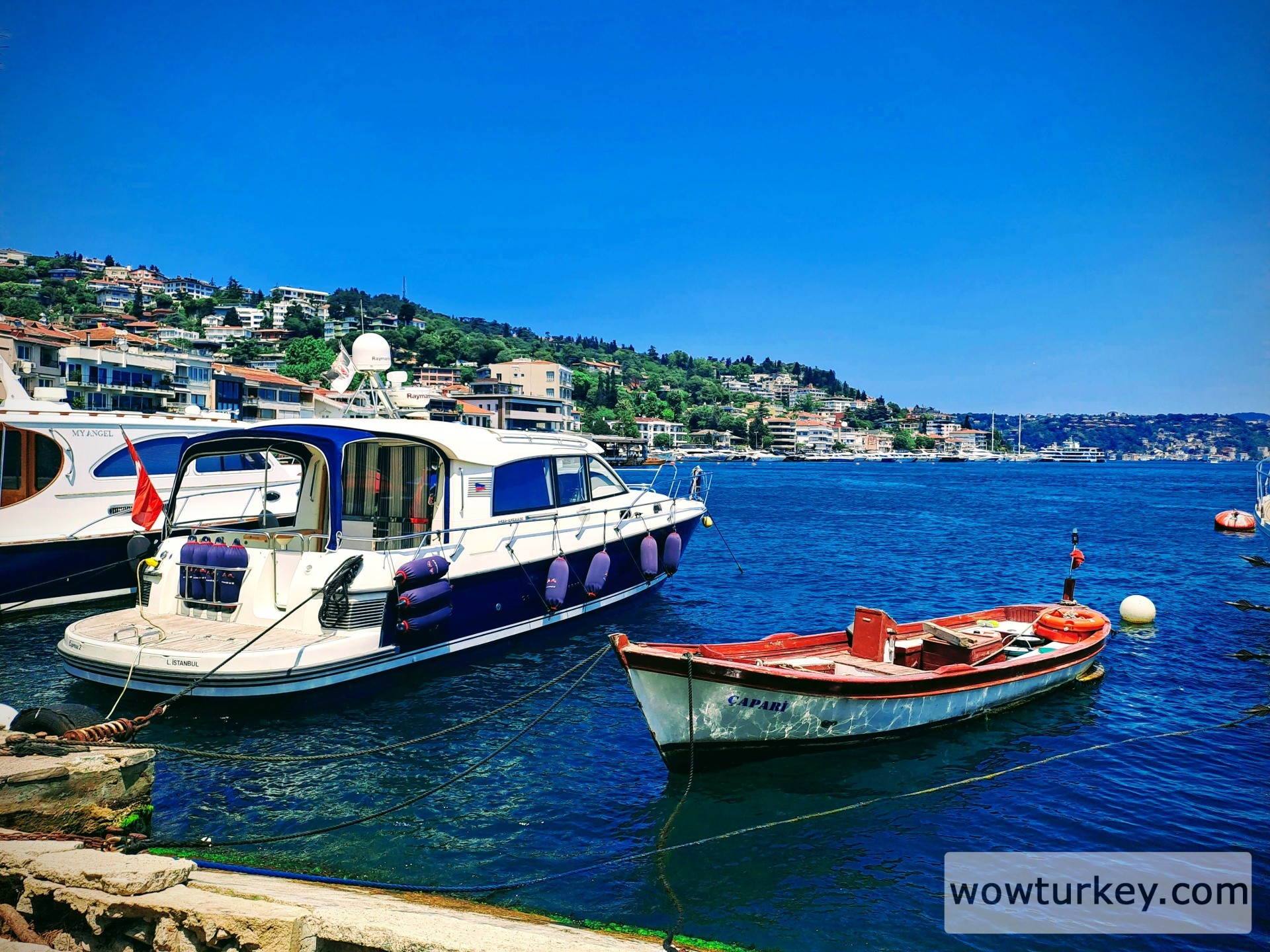 20250606_133527-EFFECTS (1).jpg